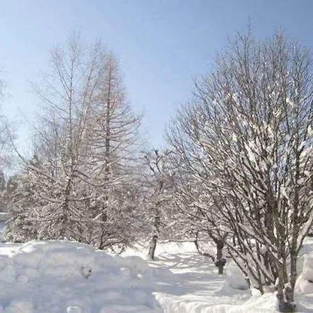 Beausoleil 3* Шамони
